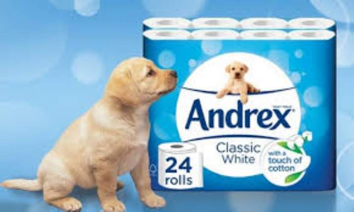 ANDREX WHITE TOILET ROLLS - Pack 24